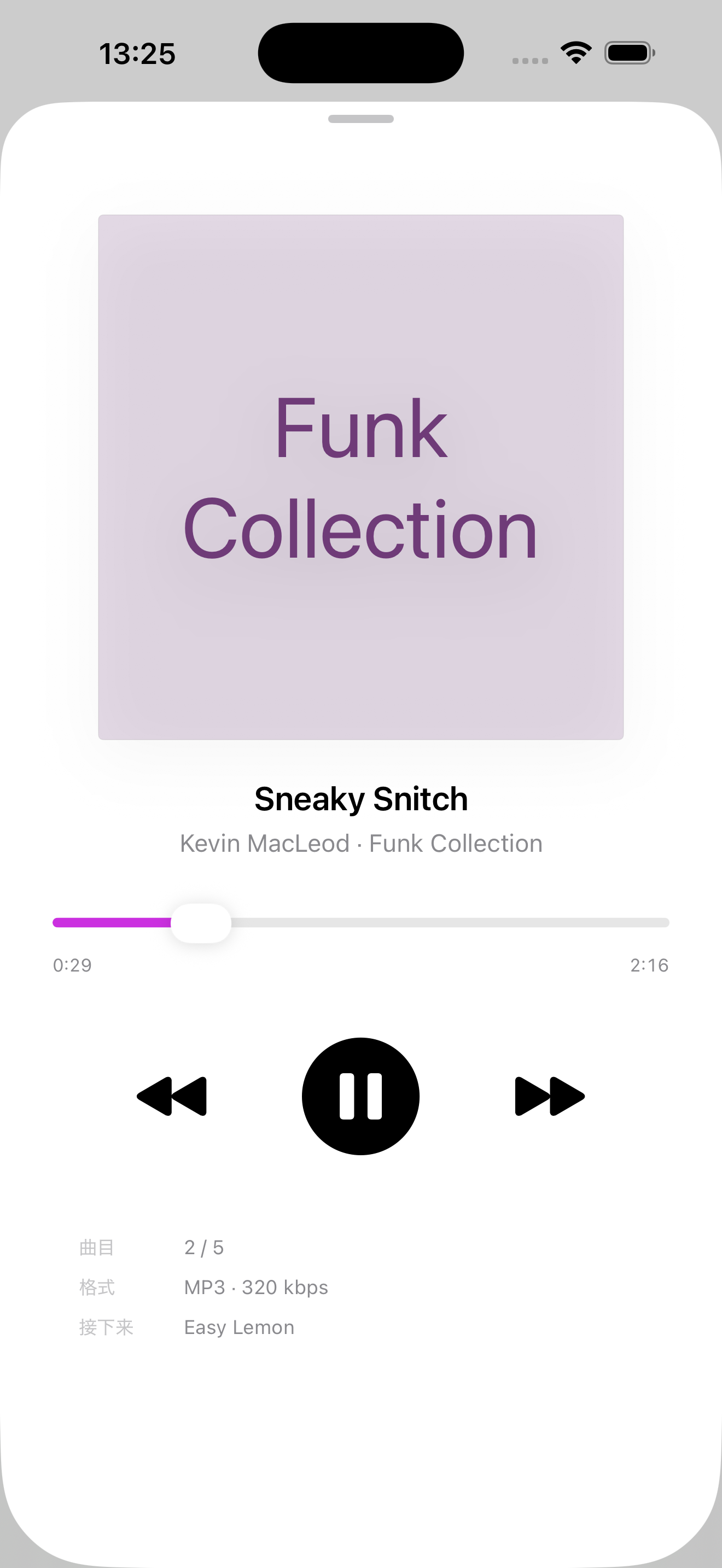 MusicTidy iOS screenshot
